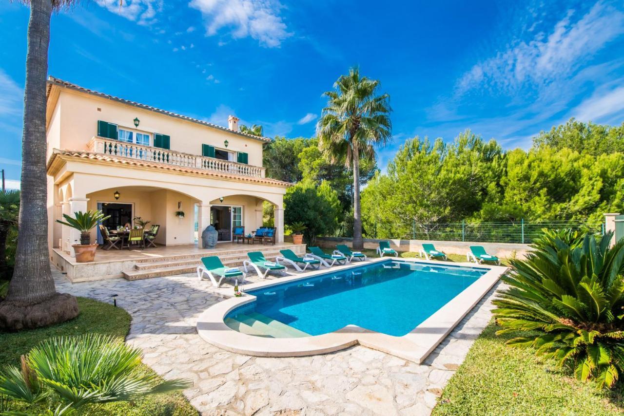 Ideal Property Mallorca - Didi Alcudia  Eksteriør billede