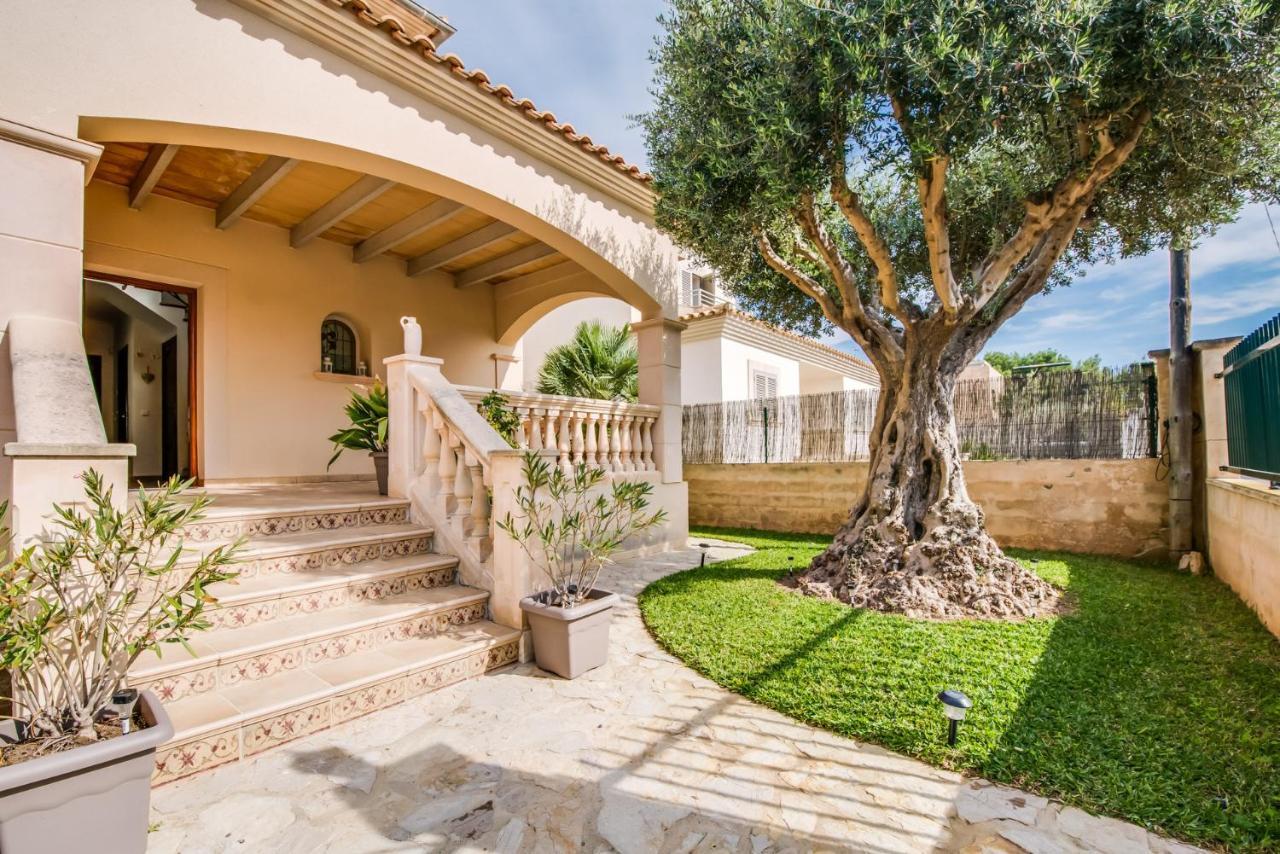 Ideal Property Mallorca - Didi Alcudia  Eksteriør billede