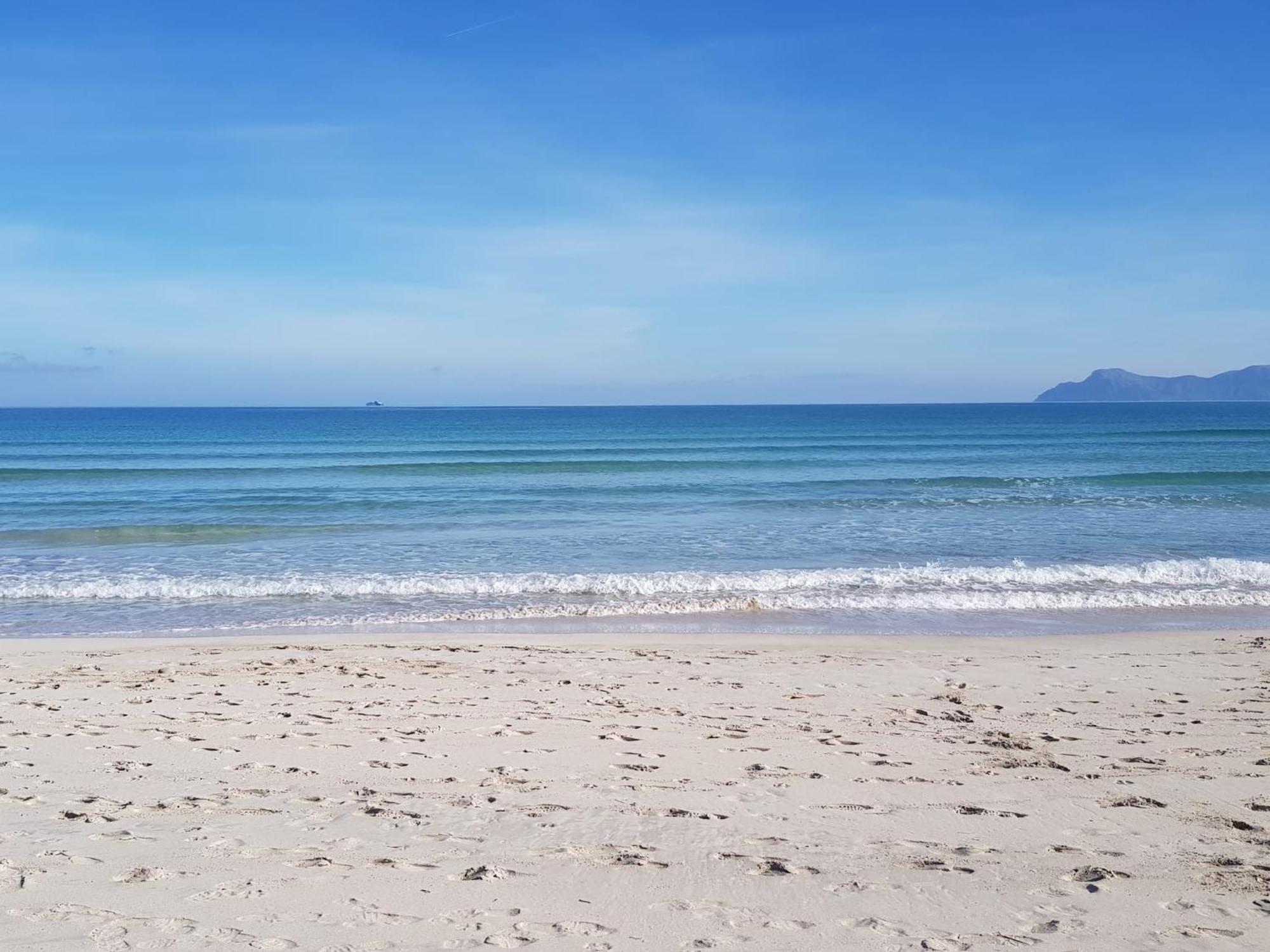 Ideal Property Mallorca - Didi Alcudia  Eksteriør billede